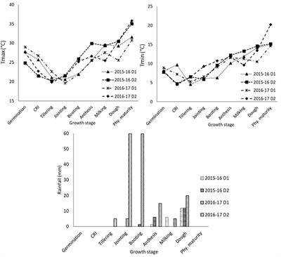 Balancing water and radiation productivity suggests a clue for improving yields in wheat under combined water deficit and terminal heat stress